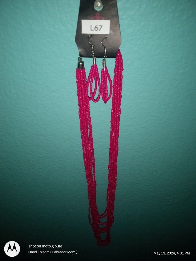 Paparazzi Earrings & Necklace Set ( New )