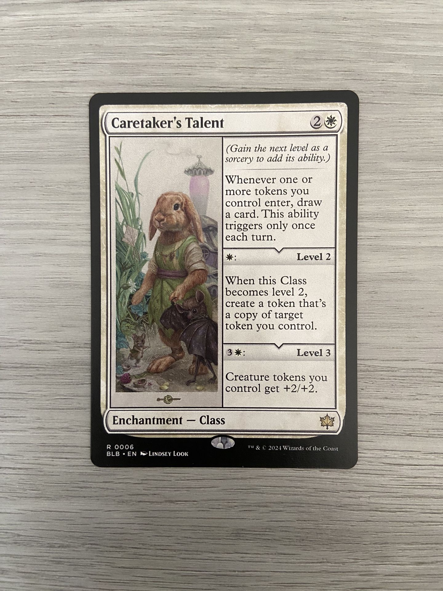 Mtg- Caretakers Talent