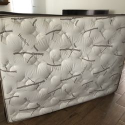 Full-size mattress brand new