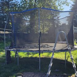 Free pool and trampoline