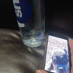 Smart Water And  FEMALE B\_/ |_|_Y