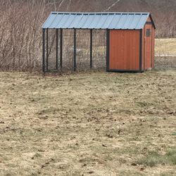 Producer's Pride Guardian Chicken Coop, 14 Chicken Capacity