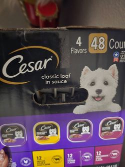 Food dog