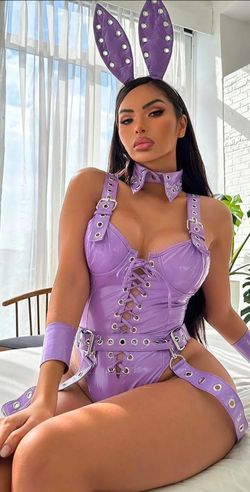 Sexy bunny costume