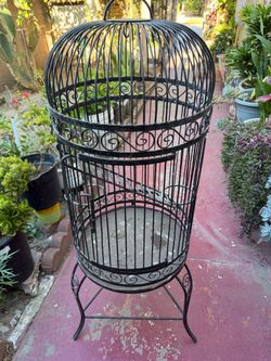 Bird Cage