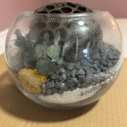 terrarium Glass Globe Sand Gravel Fake plants Sponge Shelf Counter Decor Shells