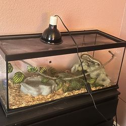 Includes everything!