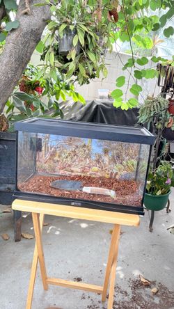 10 gallon Tank