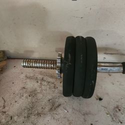 Weights