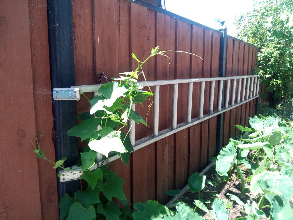 Aluminum Ladder