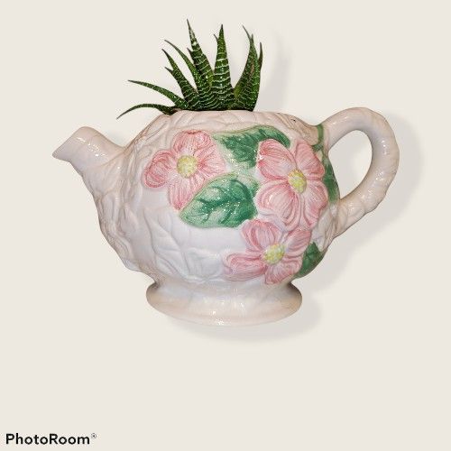 Tea Pot Aloe Vera Arrangement