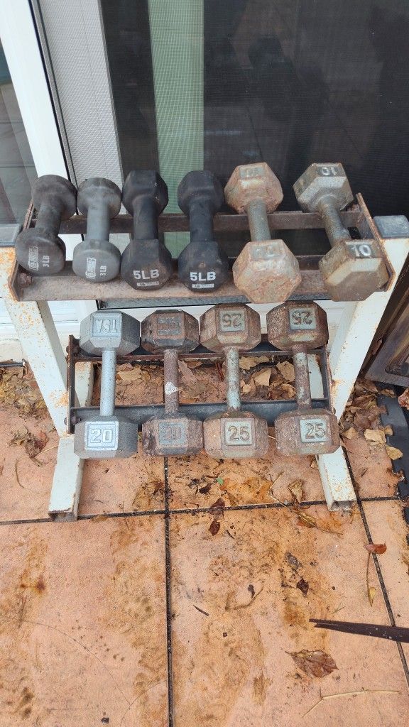 Dumbbell Set With Rack