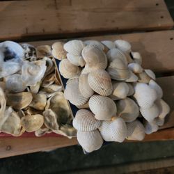 2 homemade shell Mini plaques can be hung 