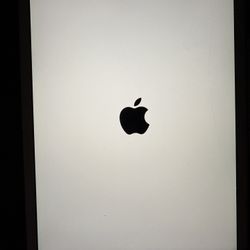iPad Mini 