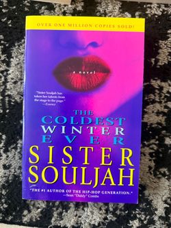 The coldest winter ever by sister soulja