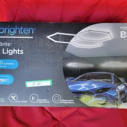 Enbrighten ultrabite hex lights 