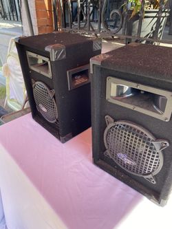 Speaker