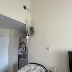 5 Plants + 4Pots + 3 Hanging Holders 