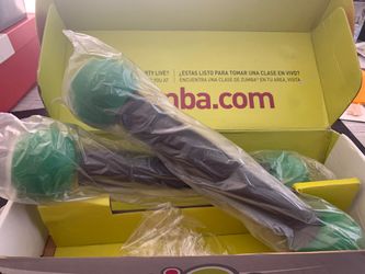 Zumba shaker weights