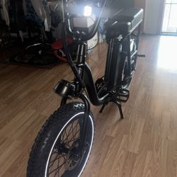 Rad Power Bike