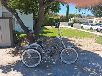 Schwinn Trike
