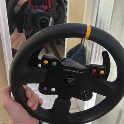 Thrust Master Racing Wheel $100 OBO 