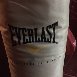 Everlast Boxing Bag W Stand
