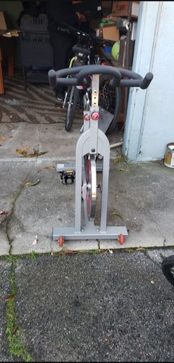 Sunny Exercise Bike
