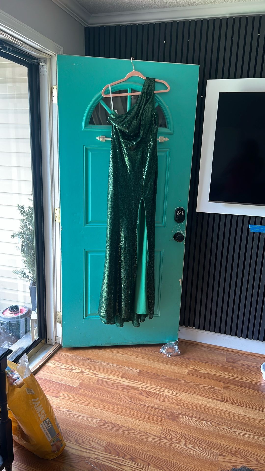 Hunter green sequin Dress