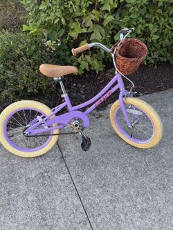Aceger Bike With Basket