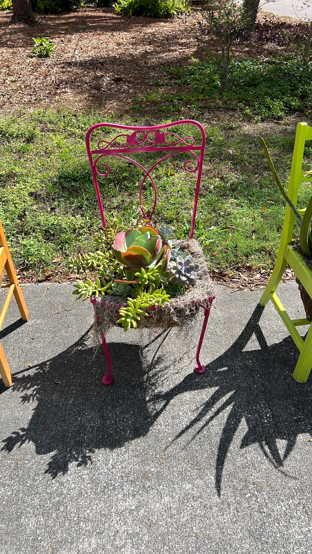 Succulent Chair