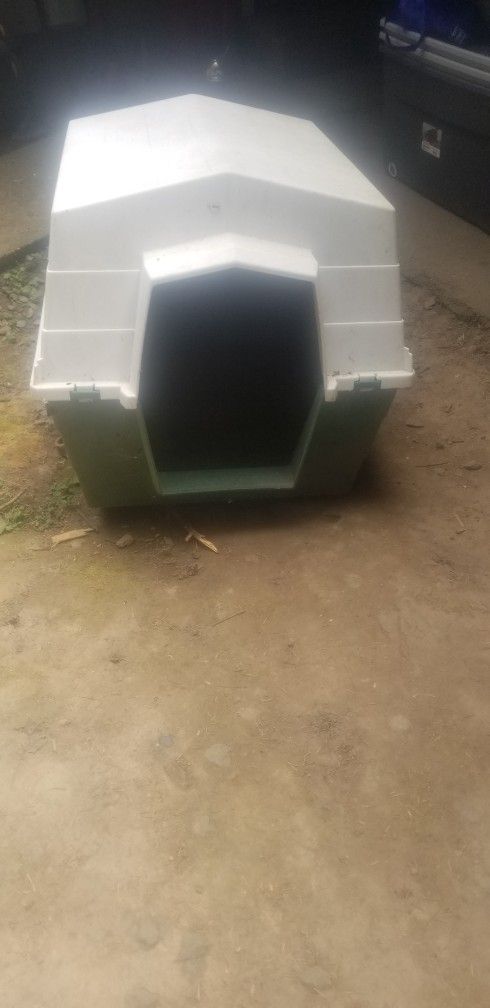 Dog House