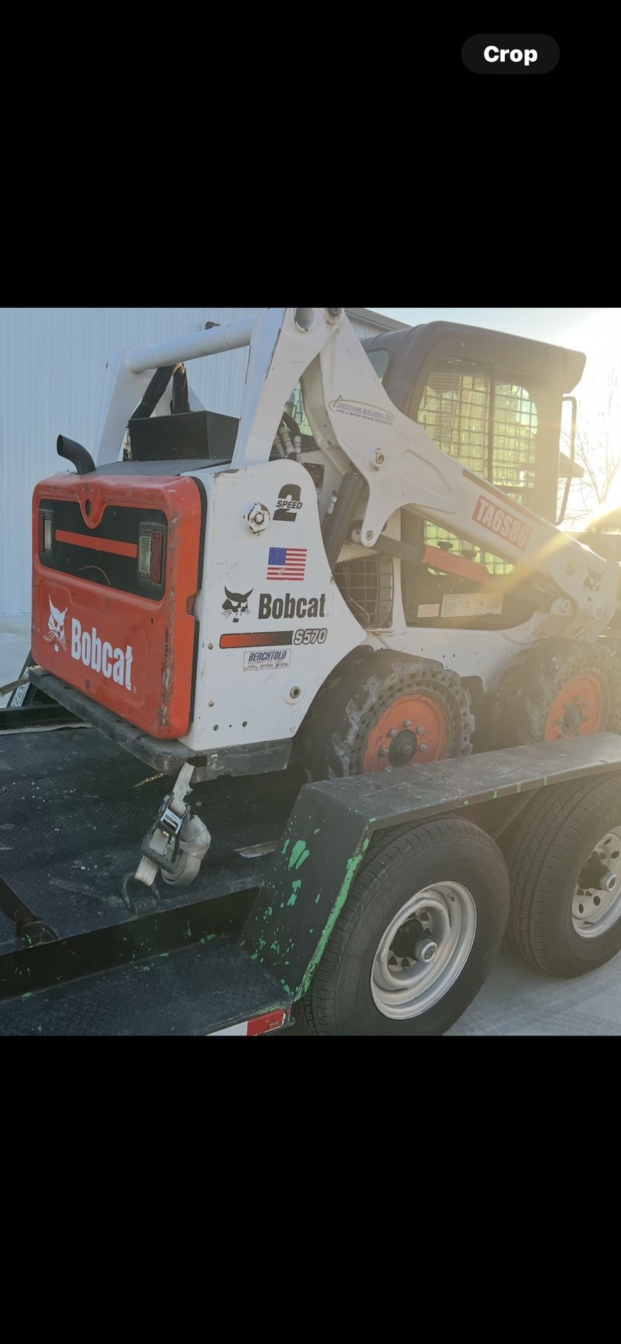 Bobcat