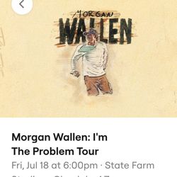 Morgan Wallen 2 Tickets 7/11/25 $225 each 