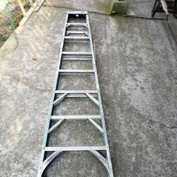 8ft Ladder