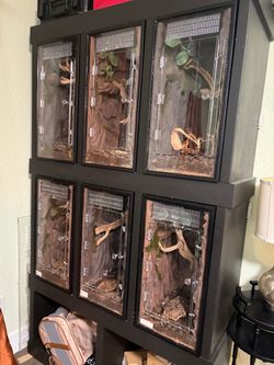 Reptile Enclosure Rack with 6 Terrariums