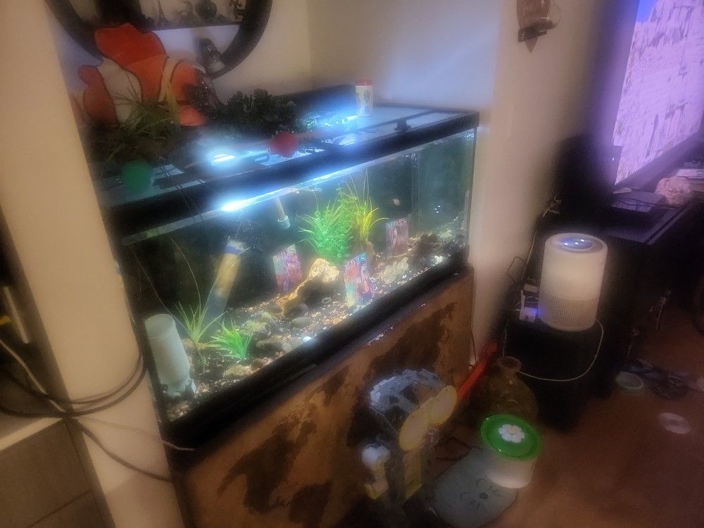 75gal Aquariam Full Set Up No Fish