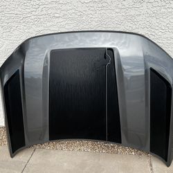 21/25 Ford Bronco Sport Hood