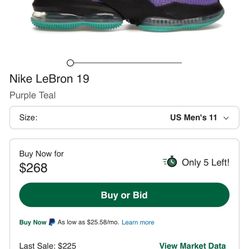 Lebron 19 Size 11