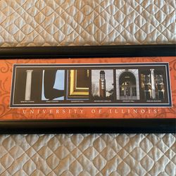 University Of Illinois Photo Collage