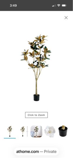 Magnolia Tree with Vase
