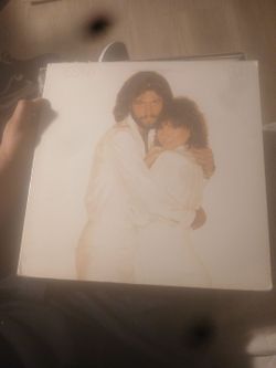 Vinyl record
