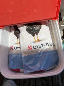 Cracked Oyster Shells 