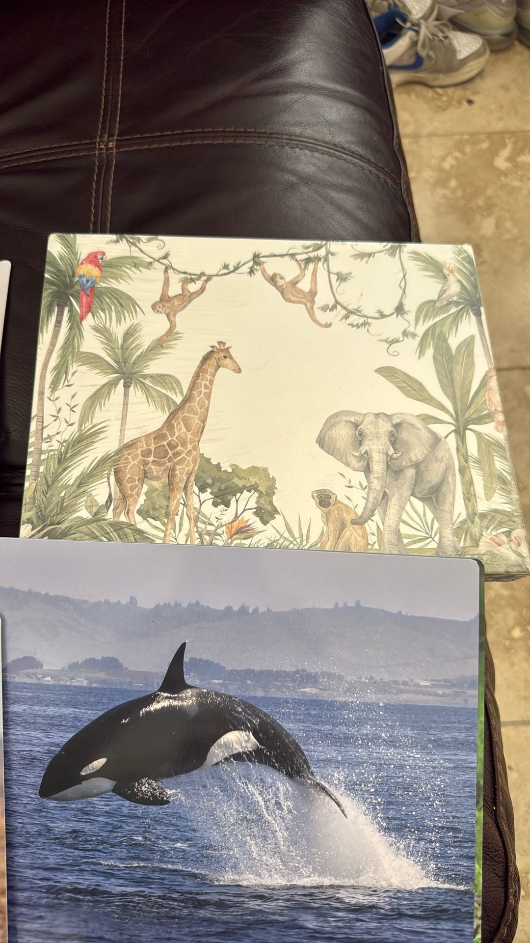 Giant Matching Memory Cards