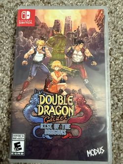 Double Dragon Gaiden Nintendo switch