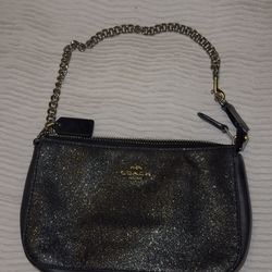 COACH Purses And Wallets