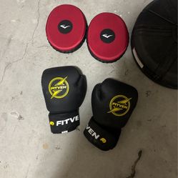 14oz boxing gloves , everlast boxing mitts  and everlast reflex bag 