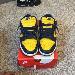 Nike Dunk Low Michigan 
