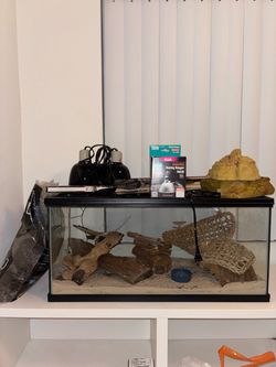 Reptile Aquarium