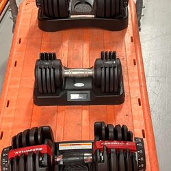 Bowflex Adjustable Weights
